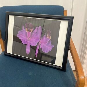 Picture of a flower.